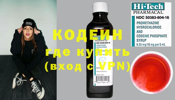 дурь Бородино