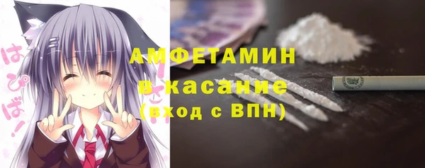 дурь Бородино