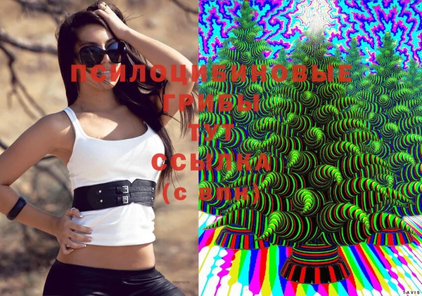дурь Бородино