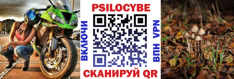 Псилоцибиновые грибы мицелий  блэк спрут   Норильск 